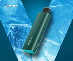 Veev Now 5mL Ice Mint