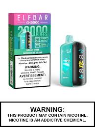 Elfbar Gh20000 Miami Mint